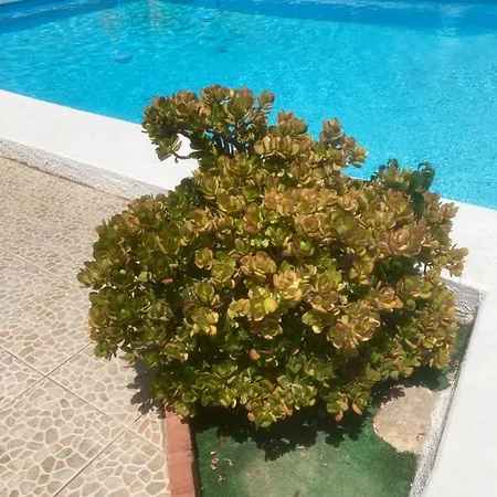 Vakantieverblijf Kluever